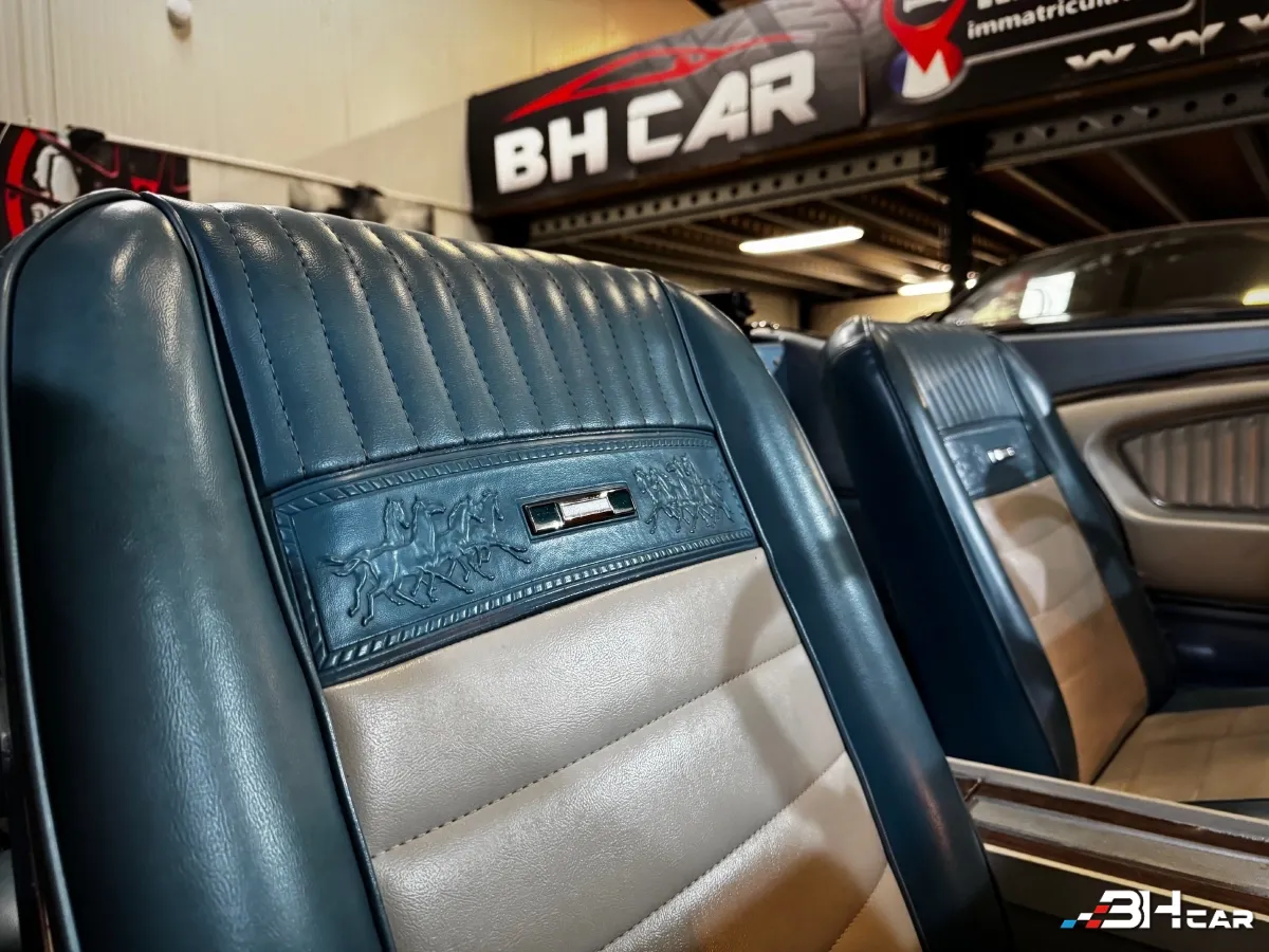 Ford Mustang - photo 13