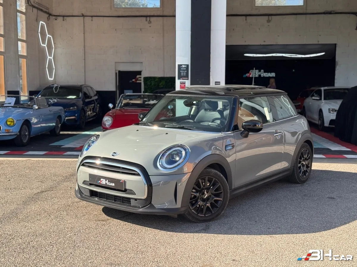 Mini Mini