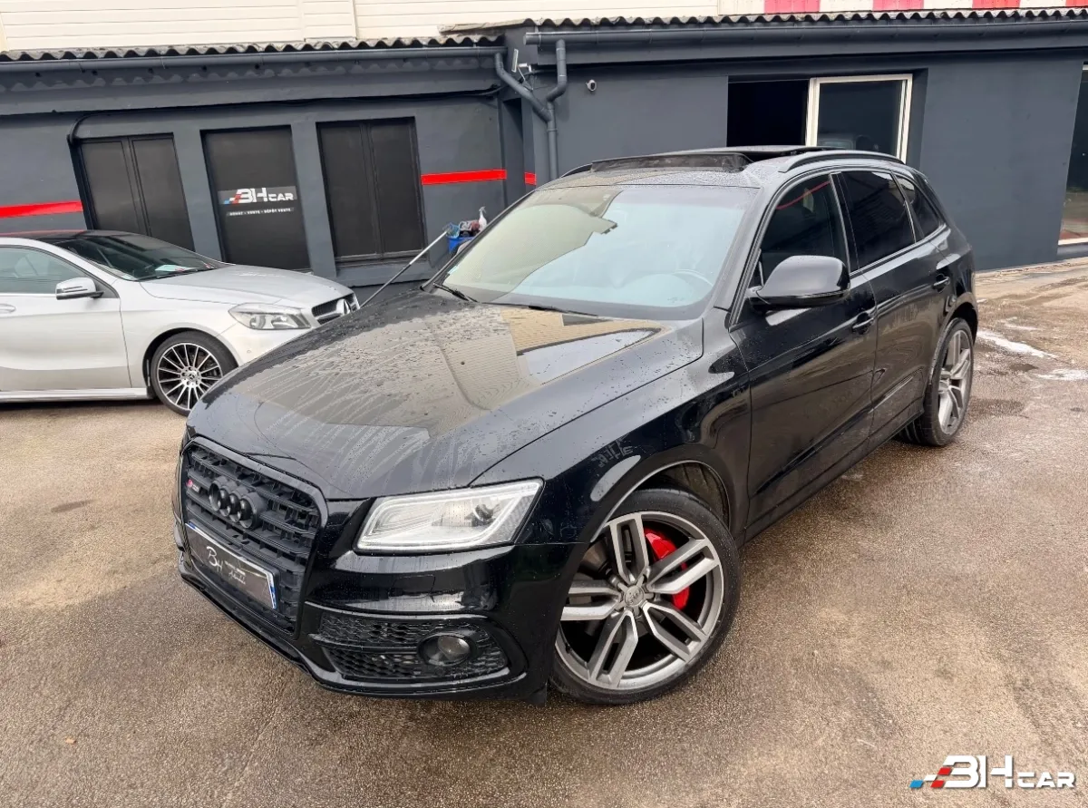 Audi Sq5 - photo 2