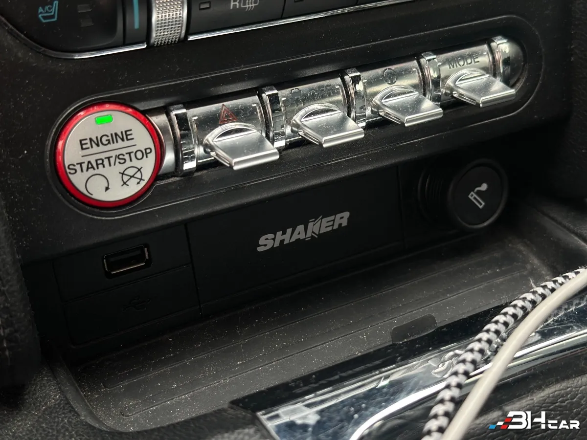 Ford Mustang - photo 21