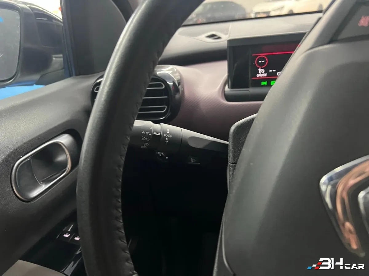 Citroen C4 Cactus - photo 28