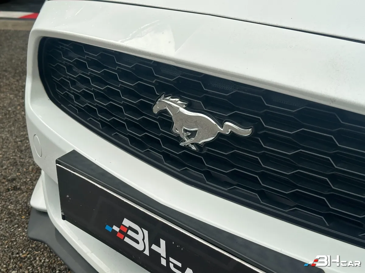Ford Mustang - photo 11