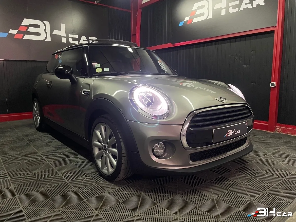 Mini Mini