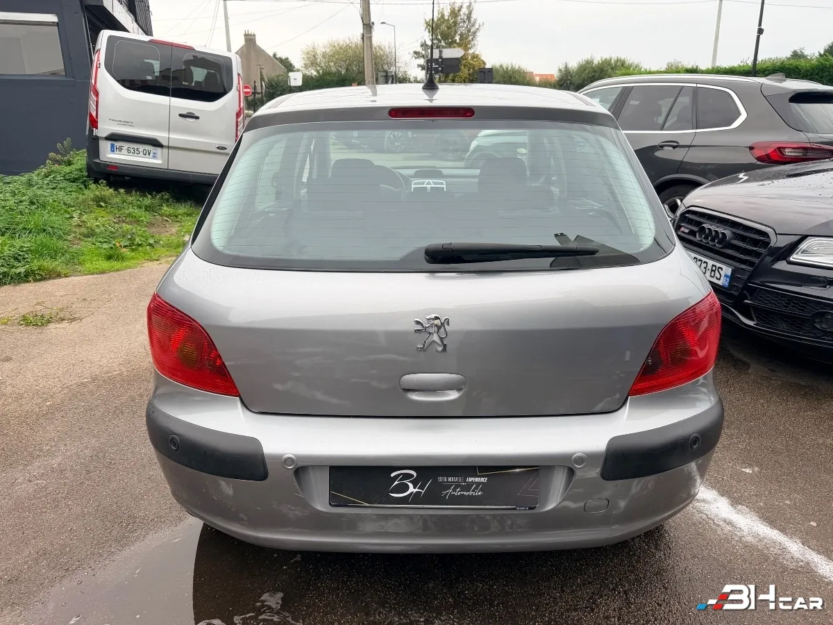 Peugeot 307 - photo 8