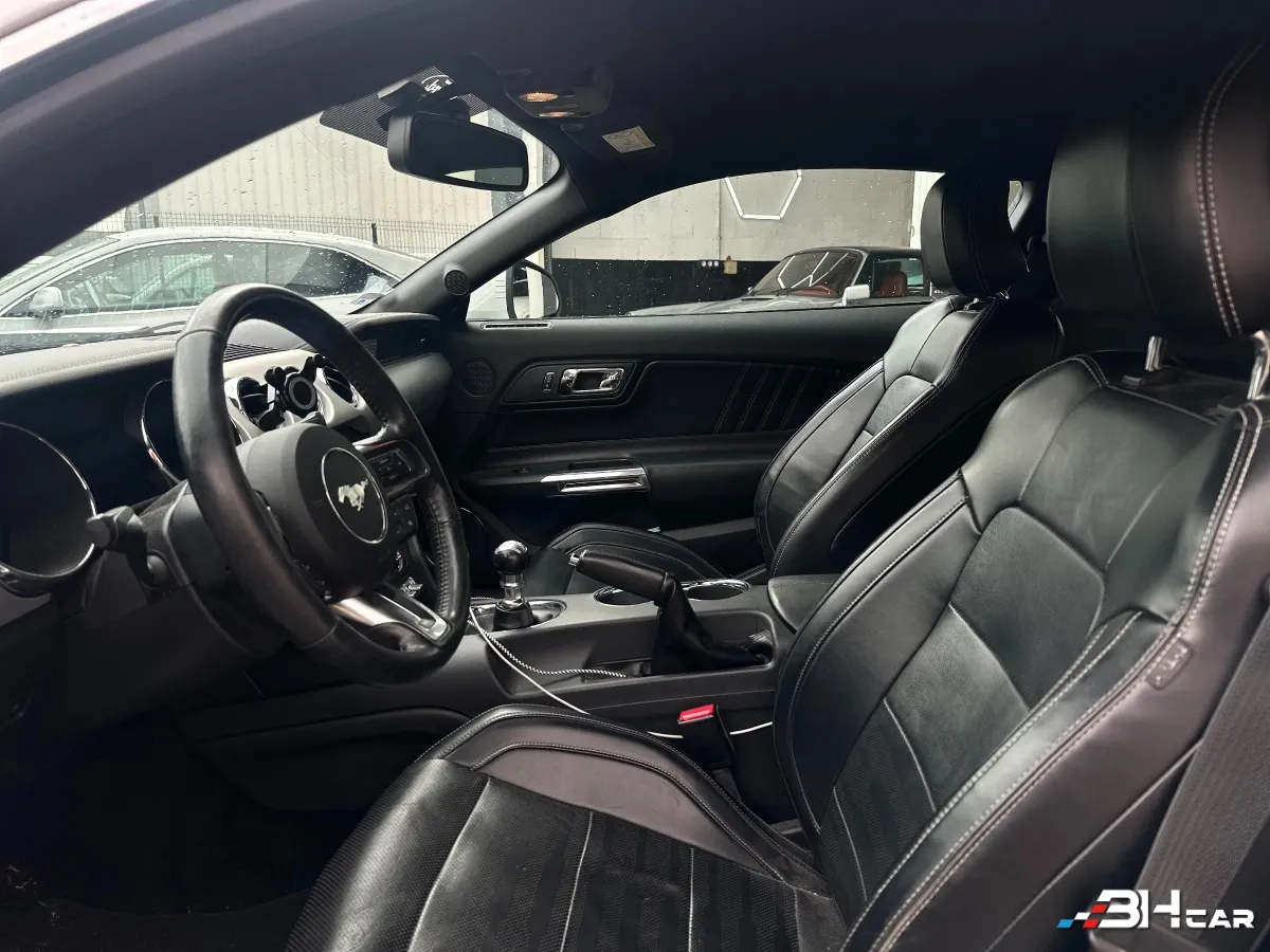 Ford Mustang - photo 14