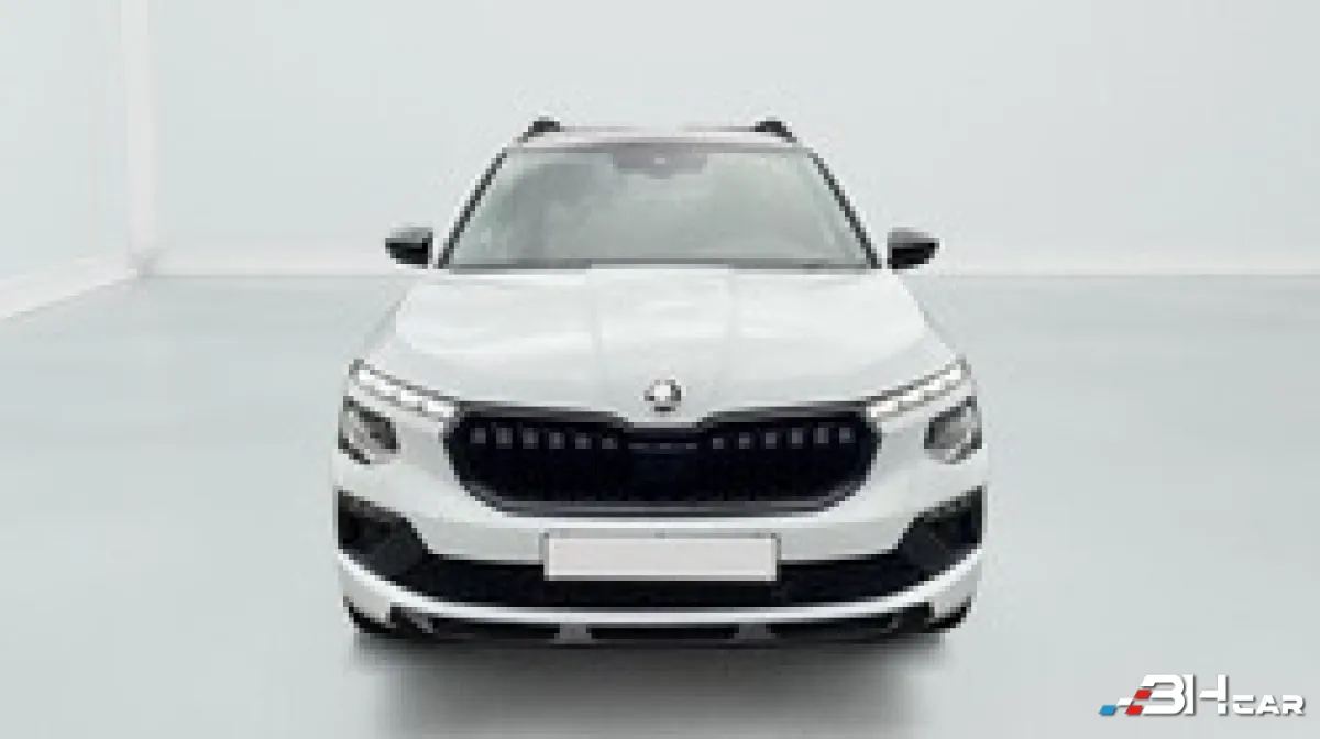 Skoda Kamiq - photo 2