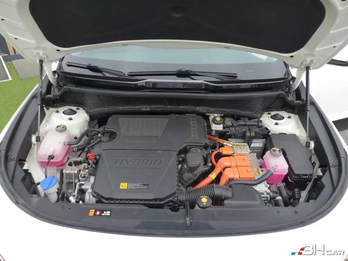 Kia Niro - photo 24