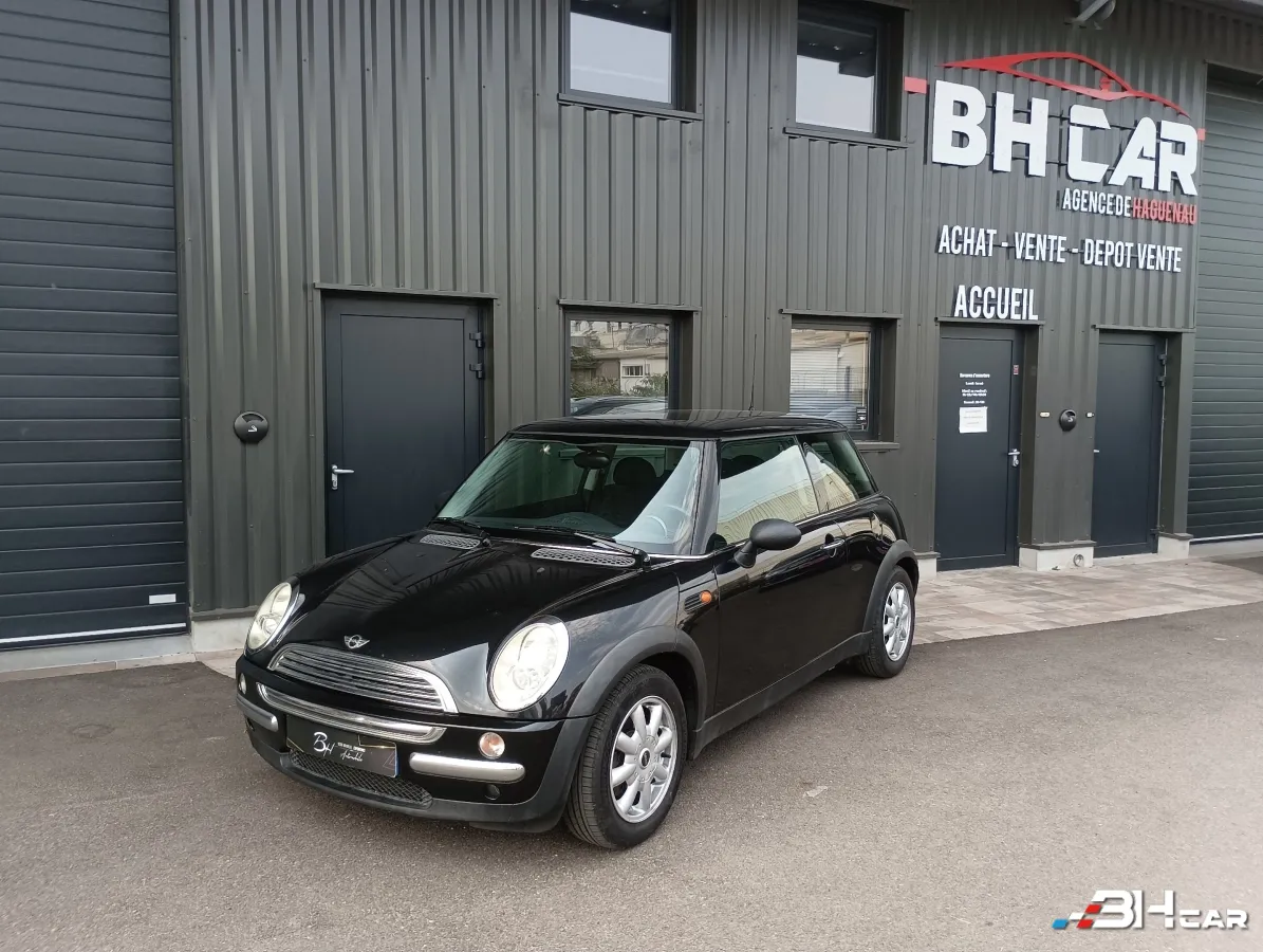 Mini Mini