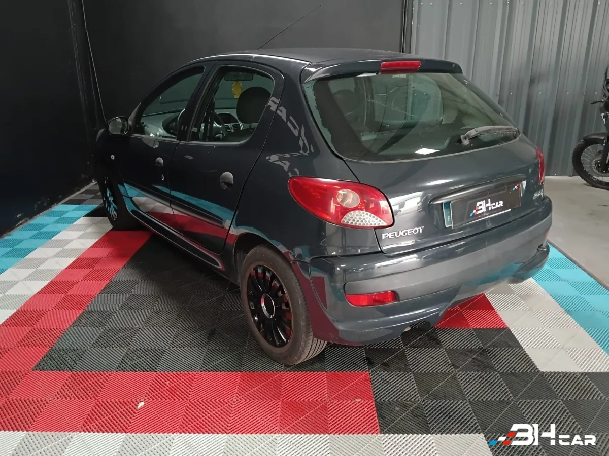 Peugeot 206 Plus - photo 10