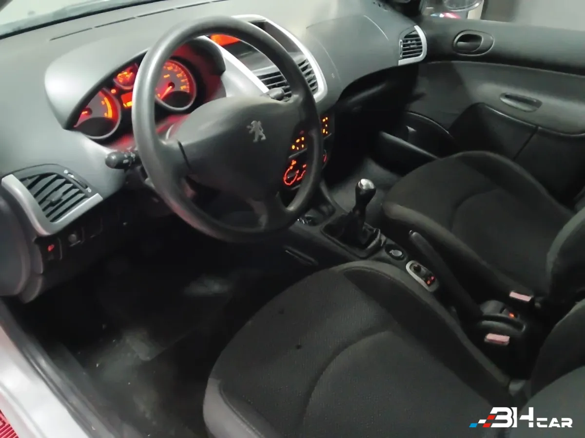 Peugeot 206 Plus - photo 12