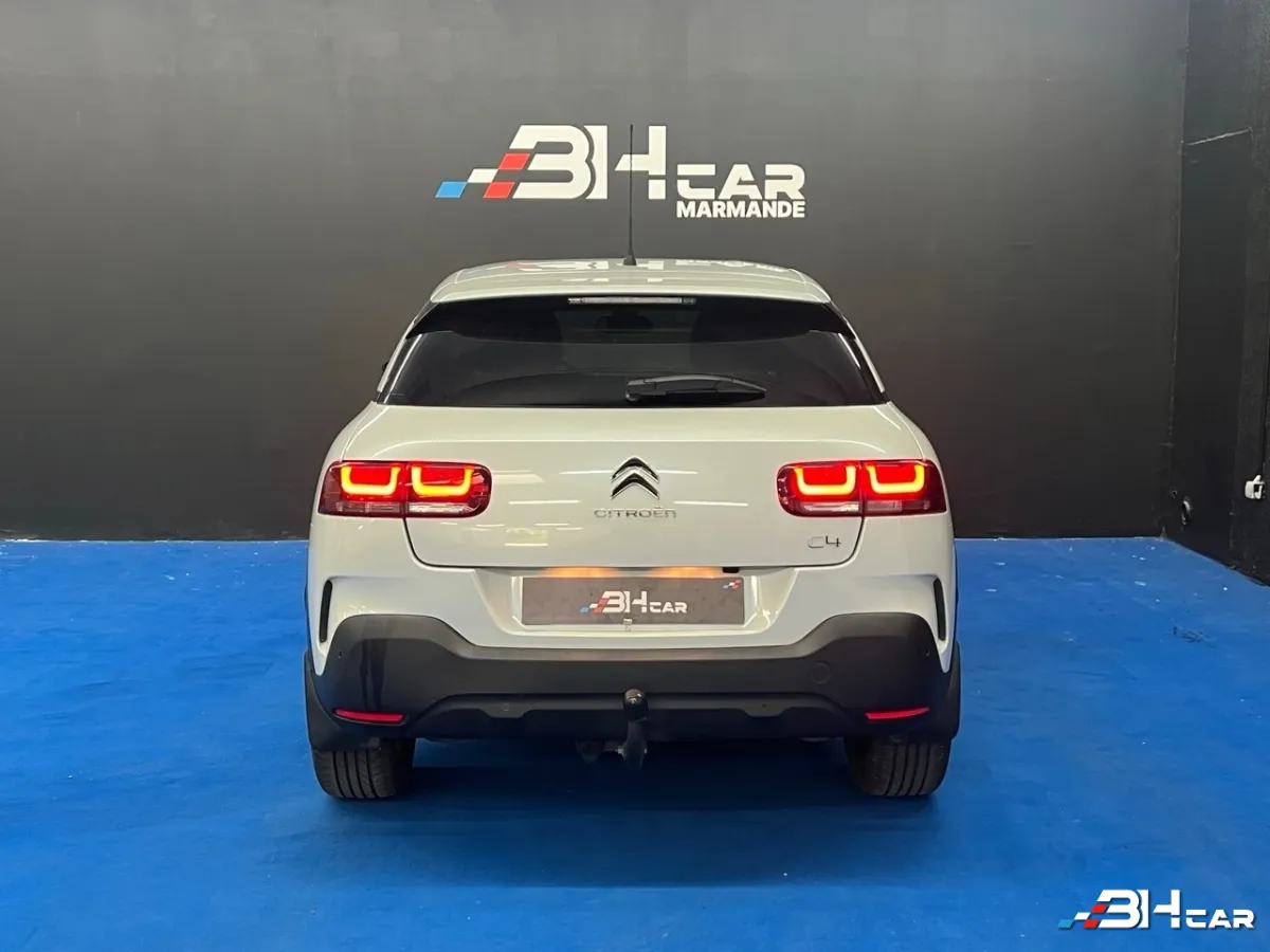 Citroen C4 Cactus - photo 6