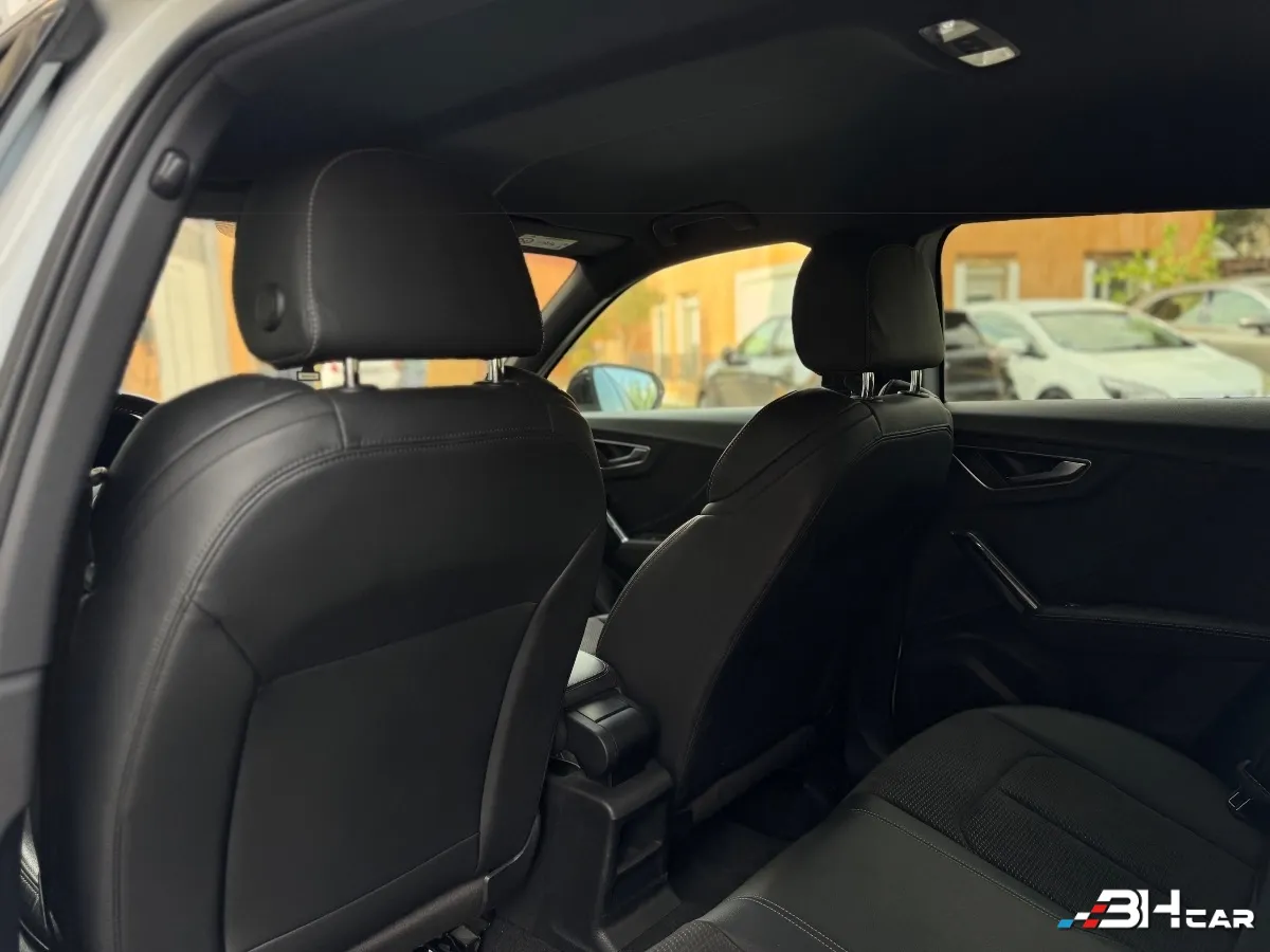 Audi Sq2 - photo 15