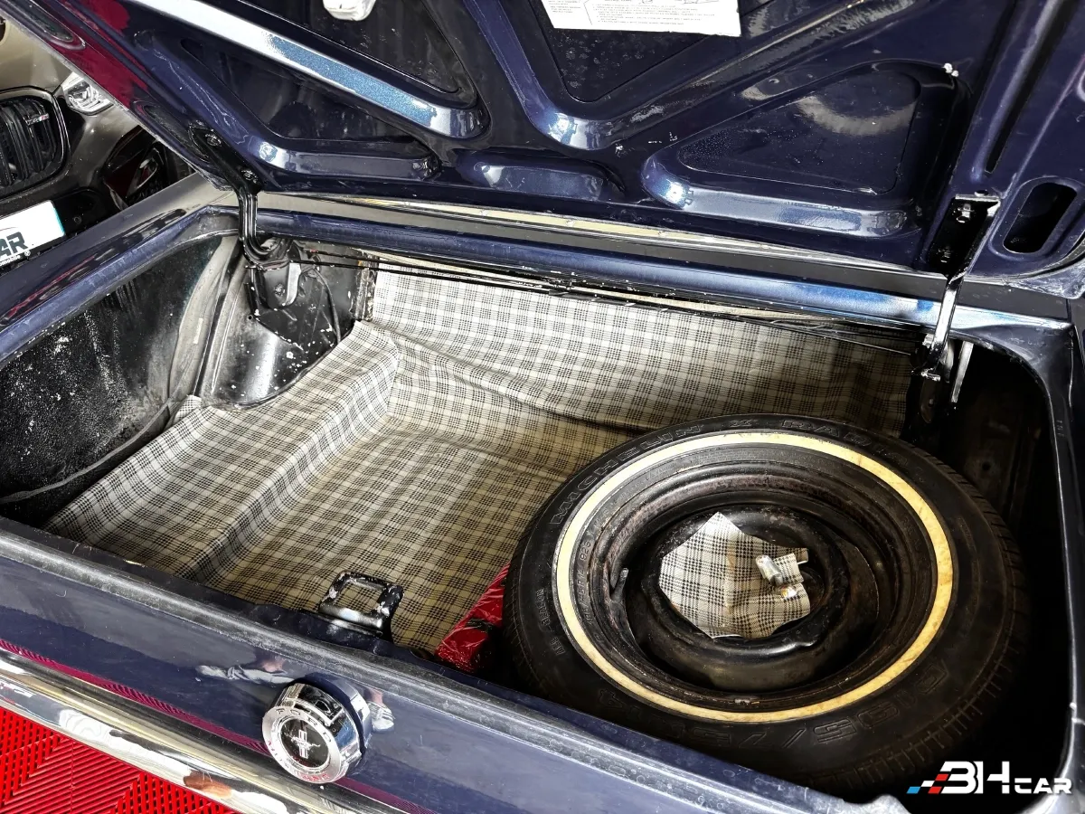 Ford Mustang - photo 12