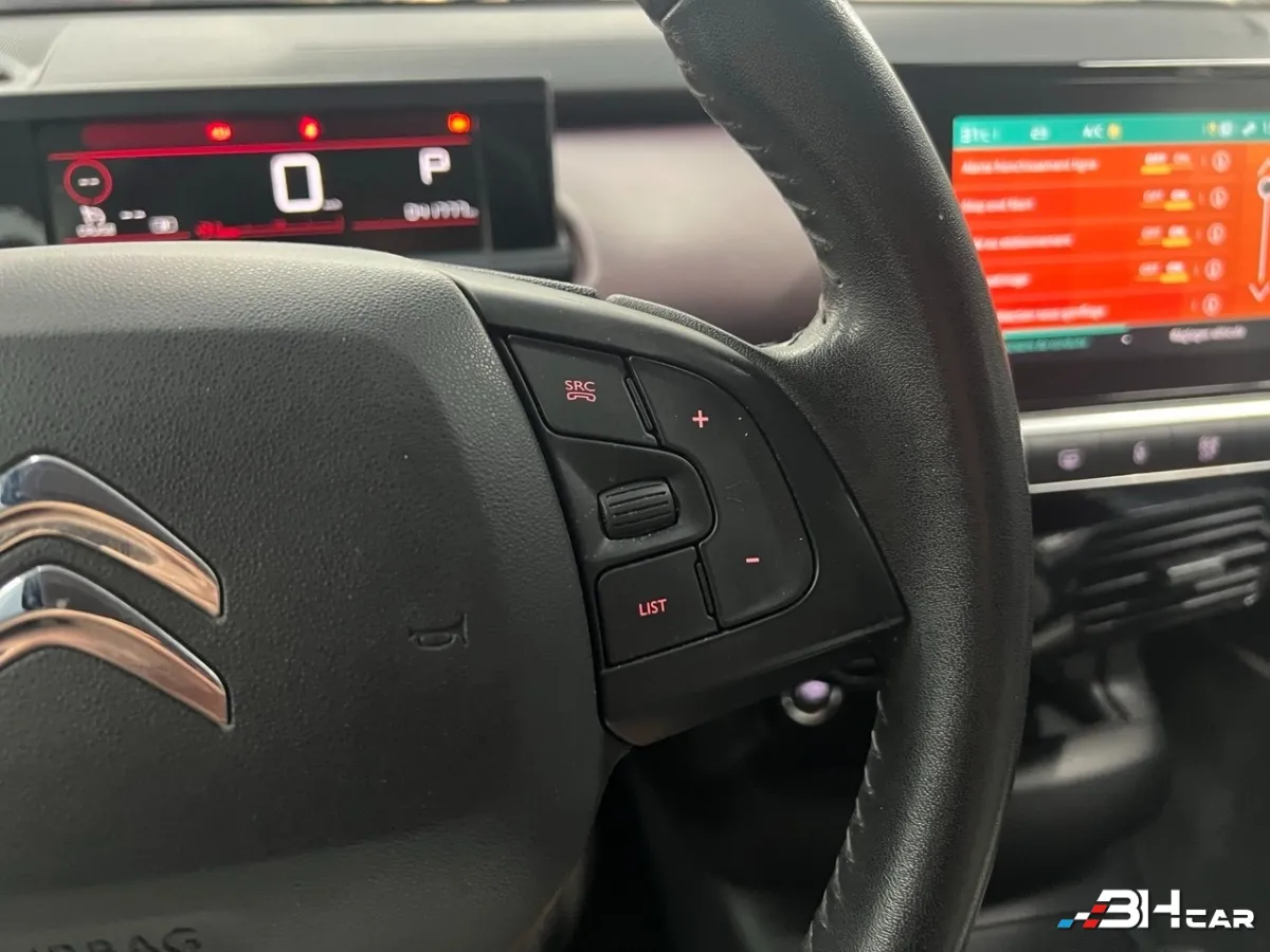 Citroen C4 Cactus - photo 31