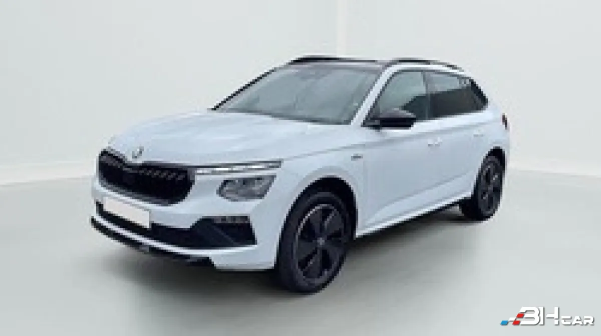 Skoda Kamiq - photo 3