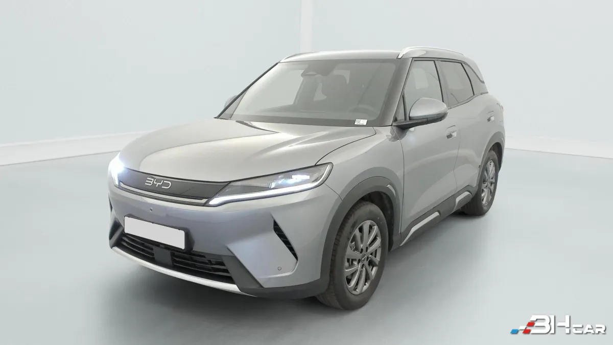 Byd Atto 2