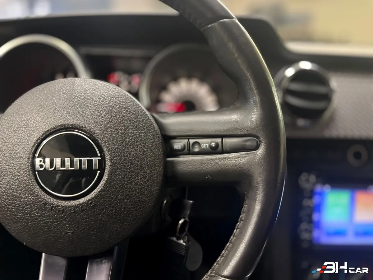 Ford Mustang - photo 23