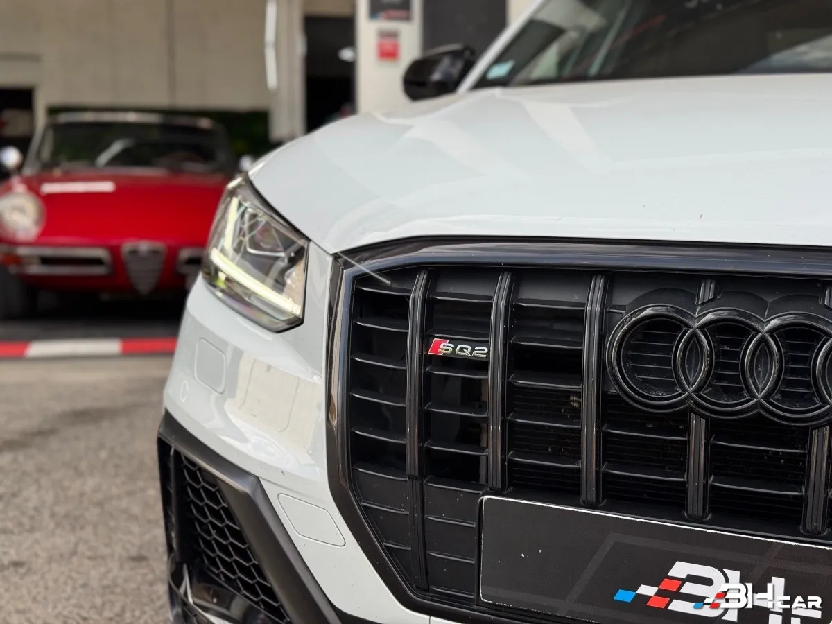 Audi Sq2 - photo 11
