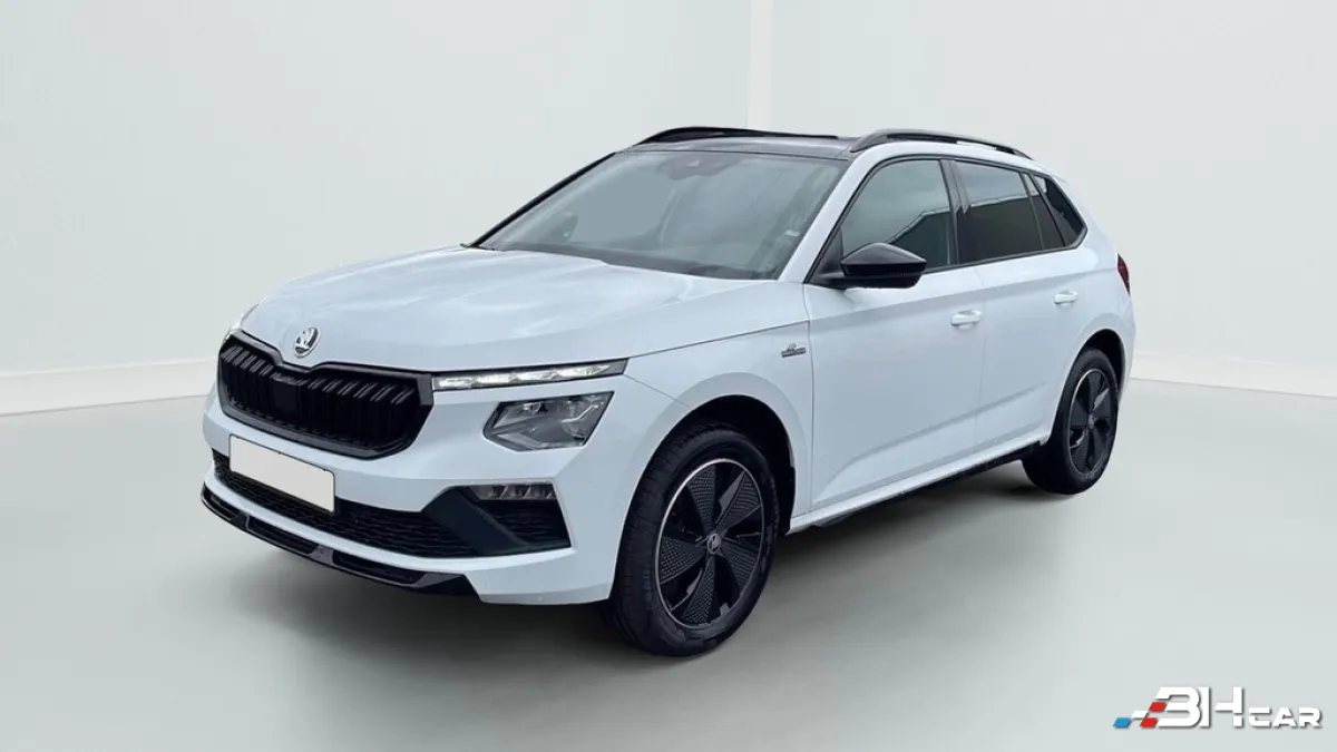 Skoda Kamiq - photo 3