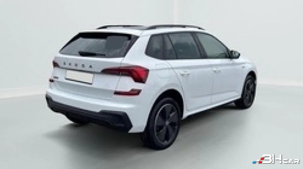 Skoda Kamiq - photo 7