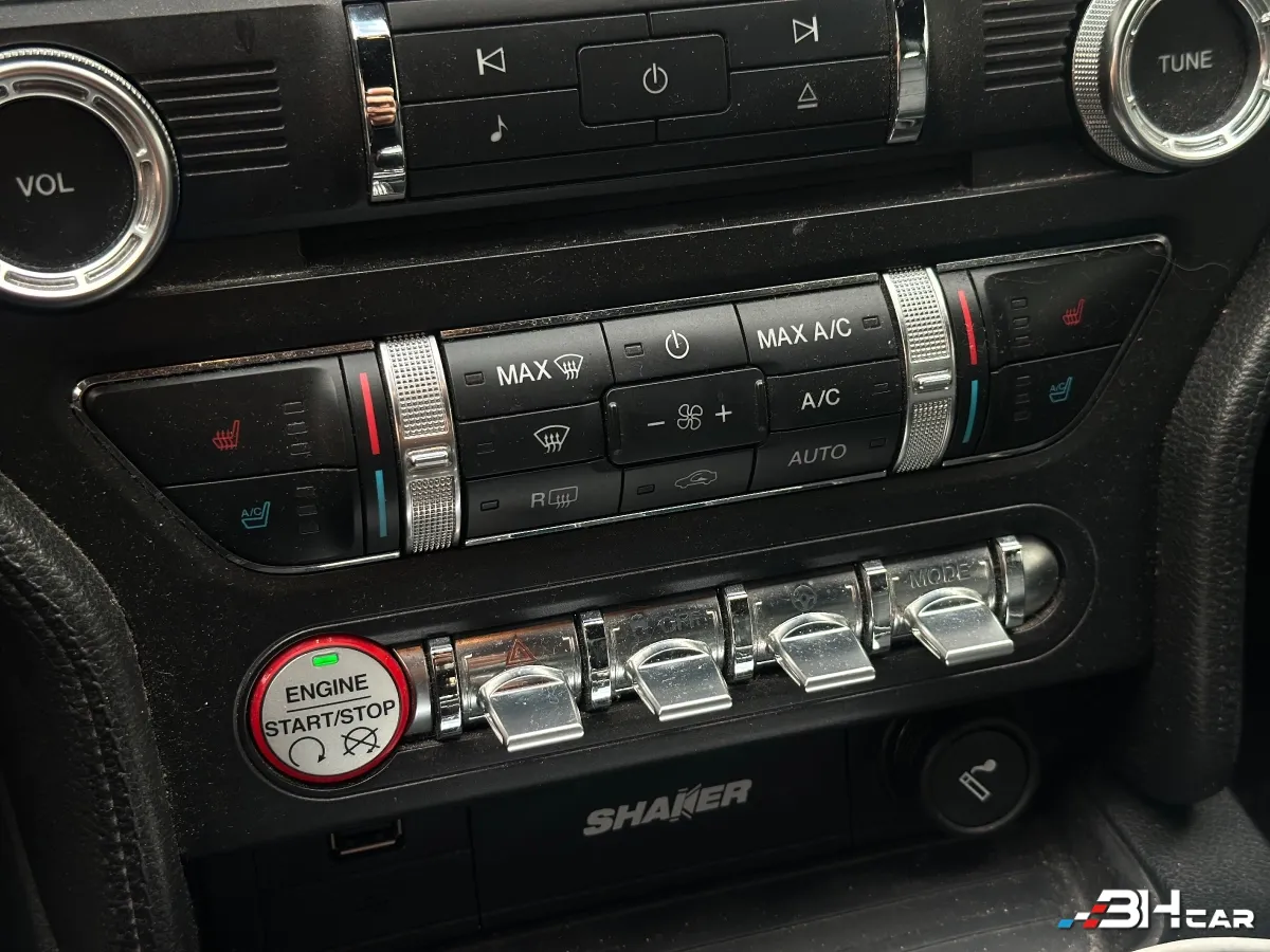 Ford Mustang - photo 22