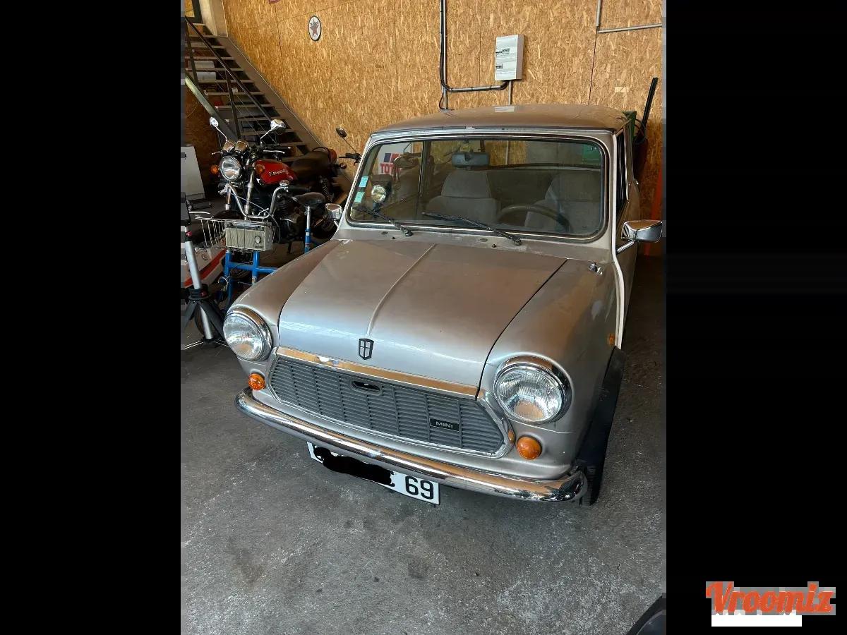 Mini Mini