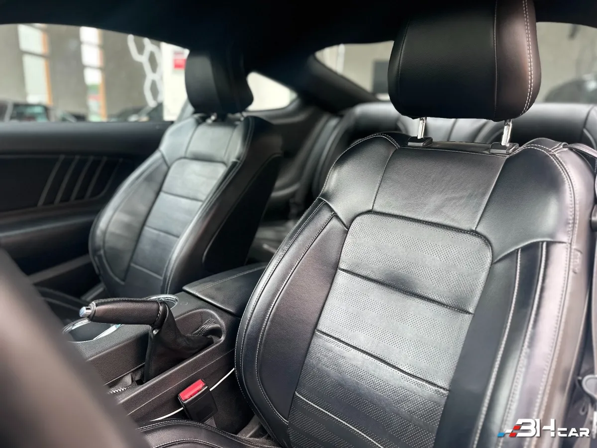 Ford Mustang - photo 15