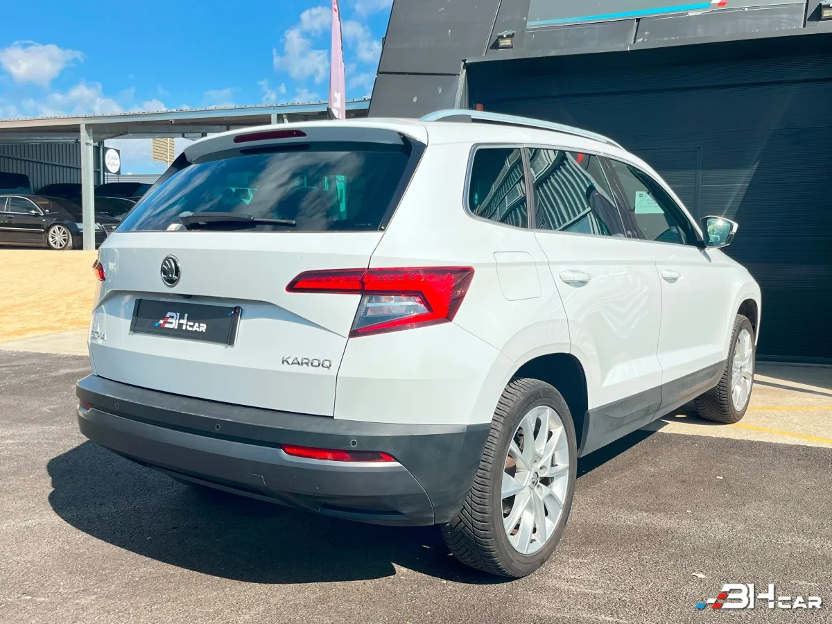Skoda Karoq - photo 8