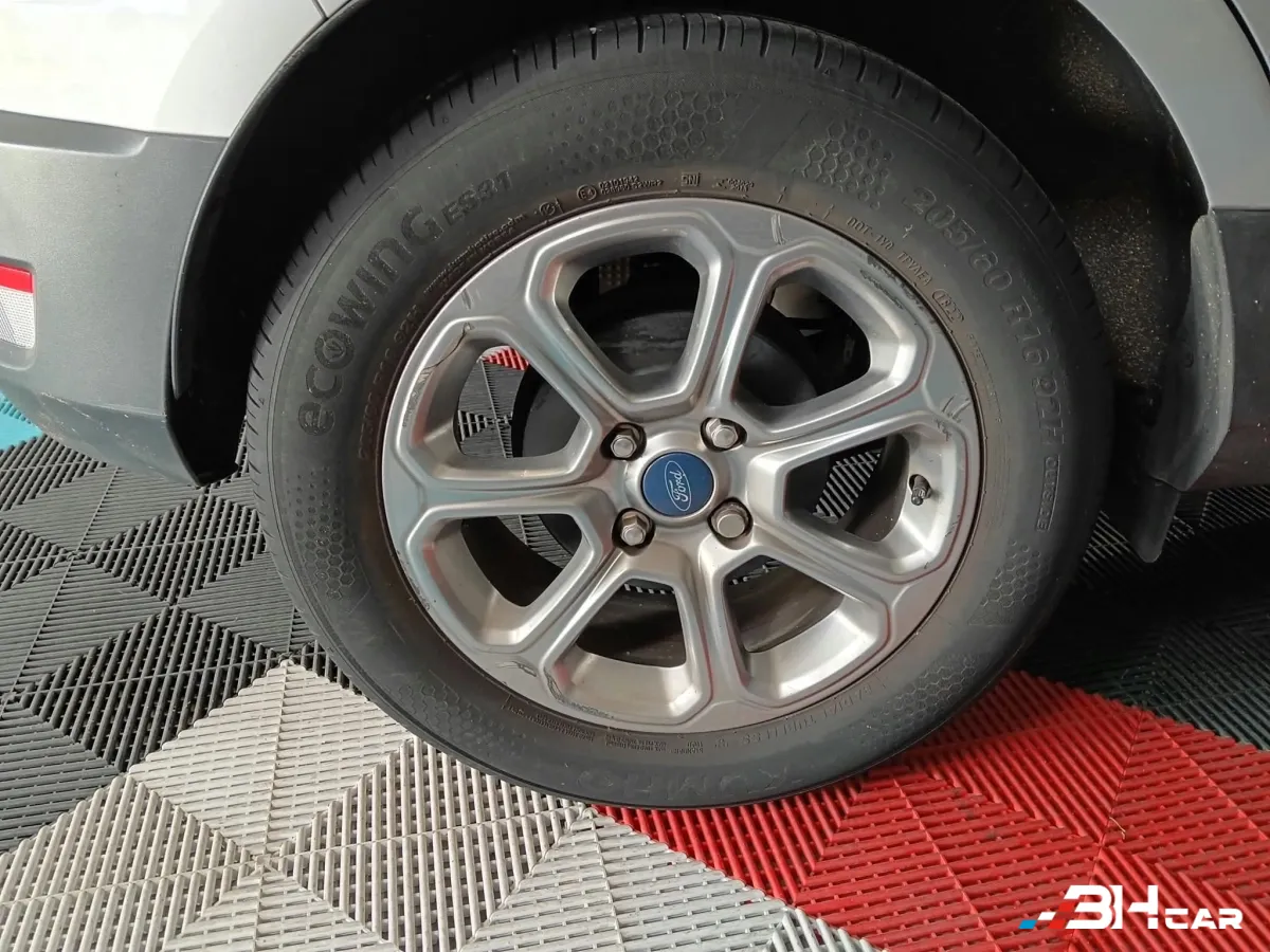 Ford Ecosport - photo 21