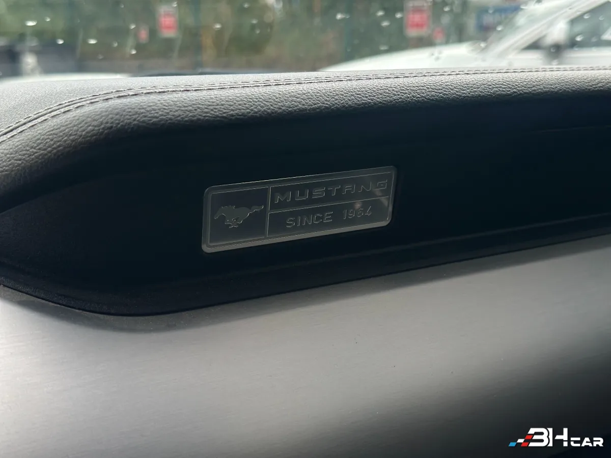 Ford Mustang - photo 24