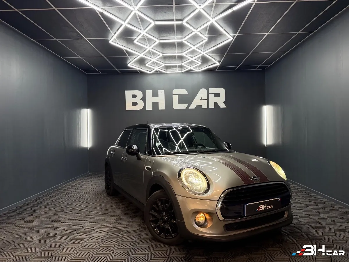 Mini Mini