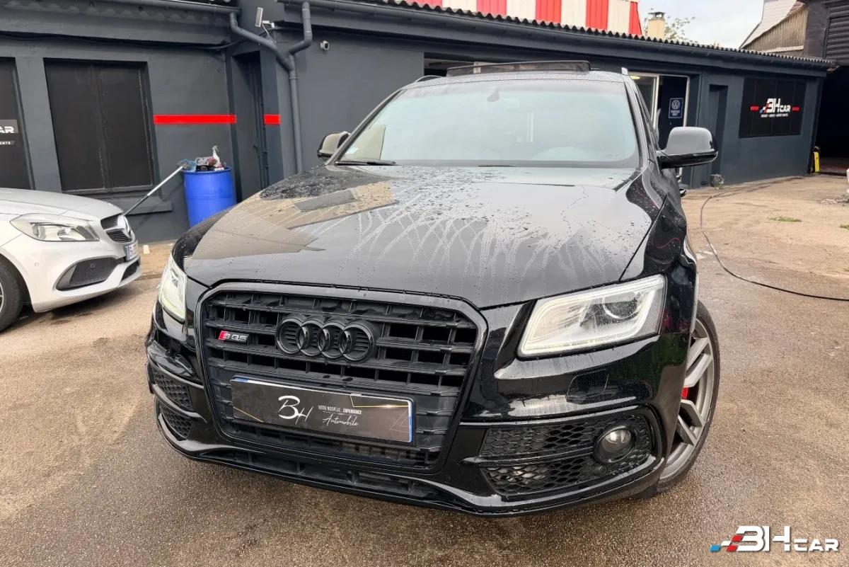 Audi Sq5 - photo 3