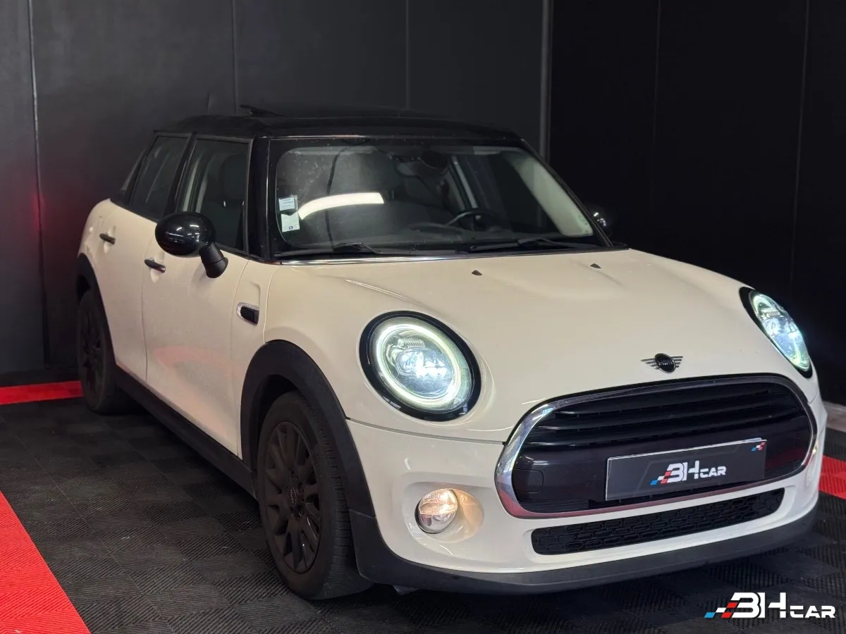 Mini Mini