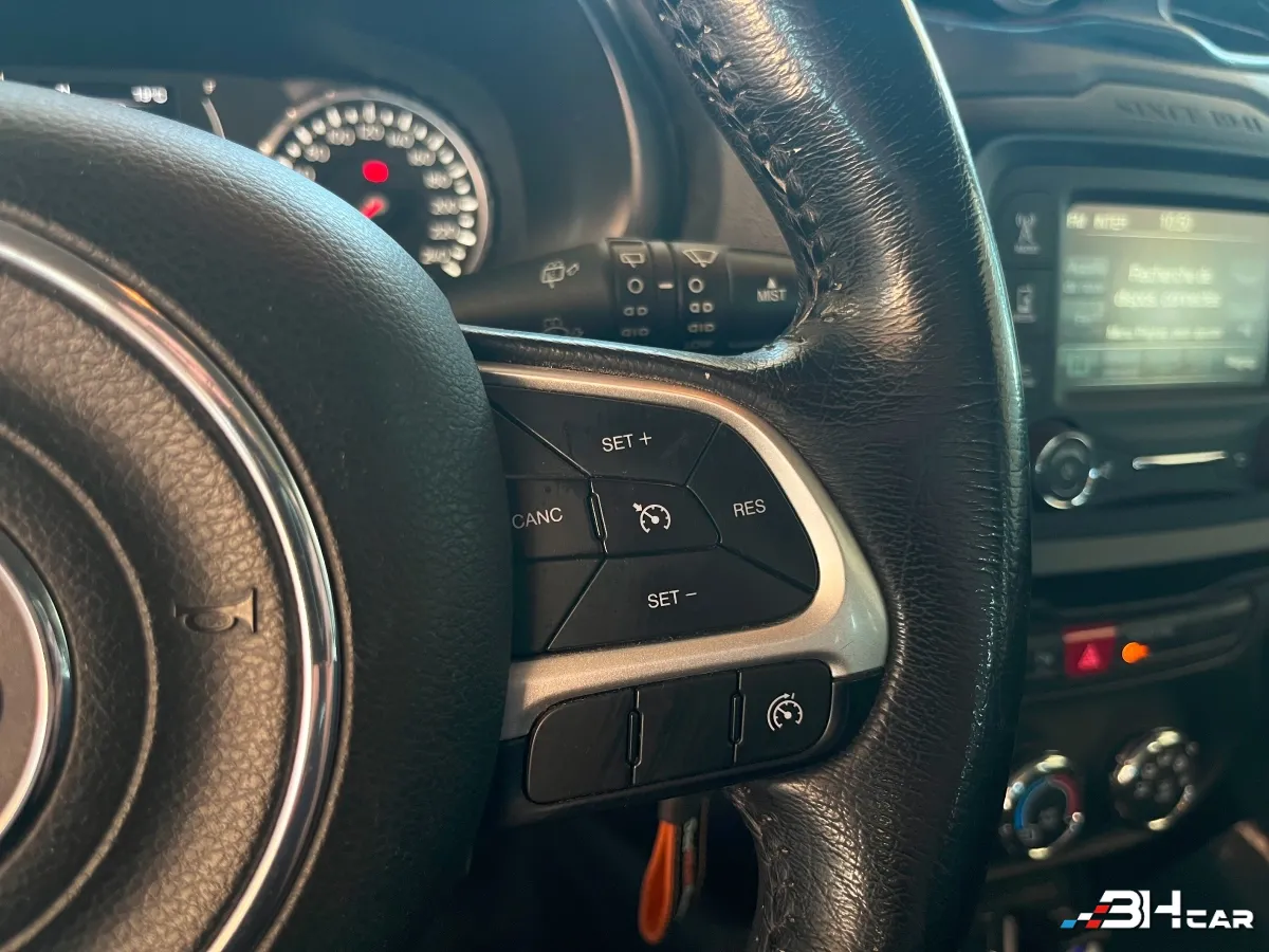 Jeep Renegade - photo 25
