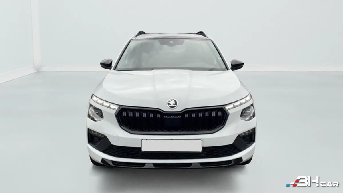Skoda Kamiq - photo 2