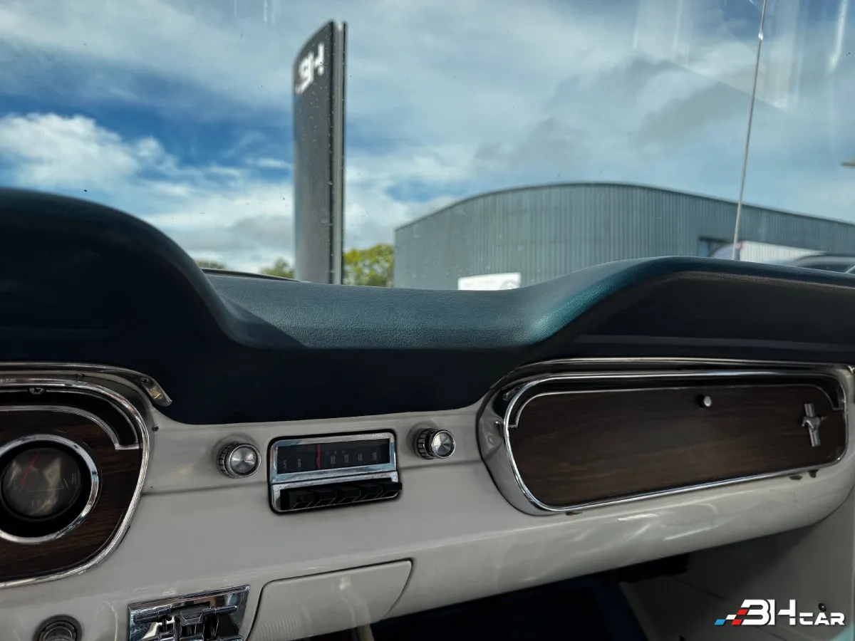 Ford Mustang - photo 17