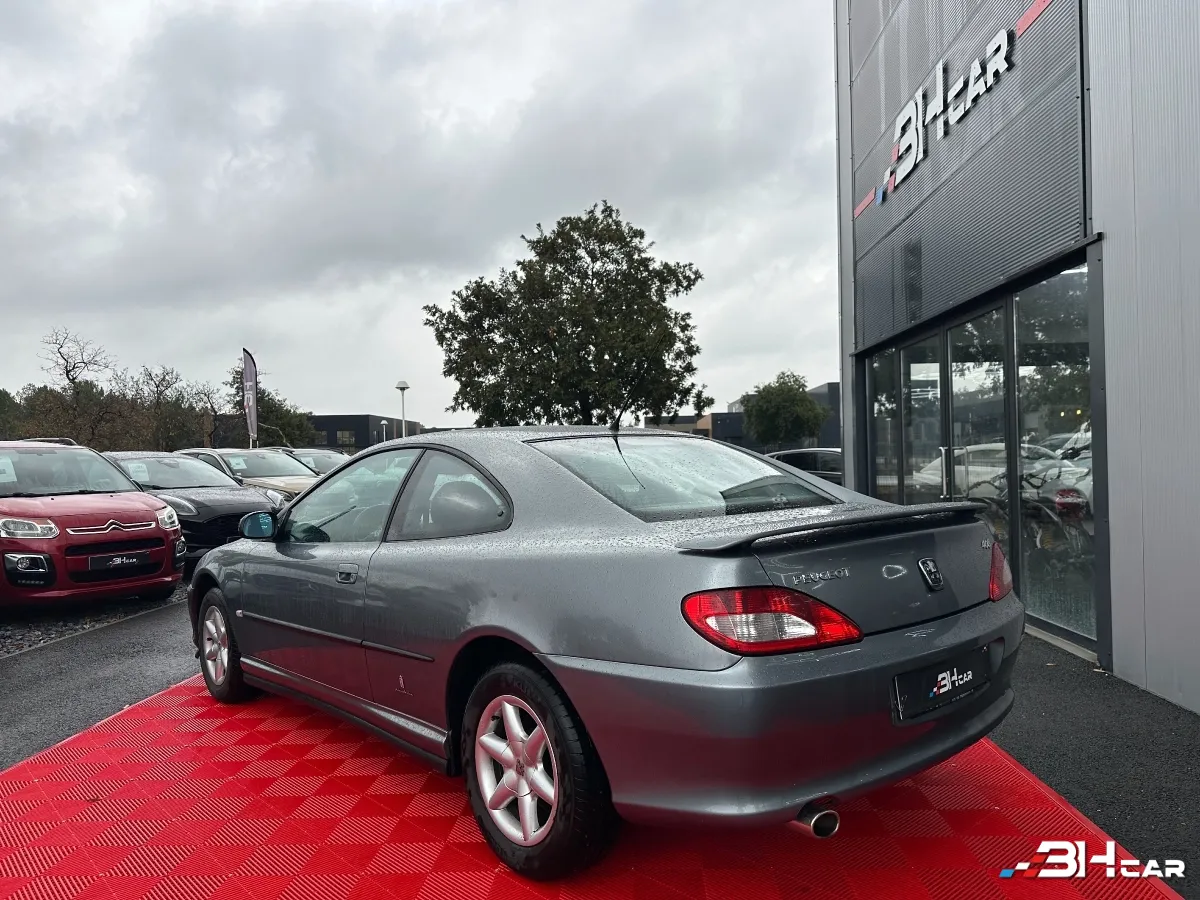 Peugeot 406 - photo 4