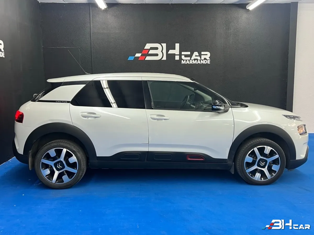 Citroen C4 Cactus - photo 4