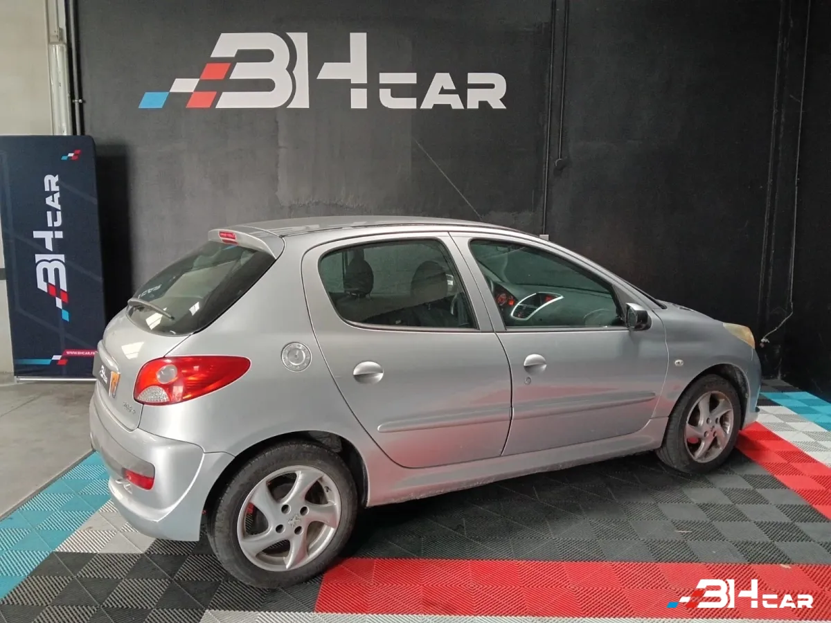 Peugeot 206 Plus - photo 11