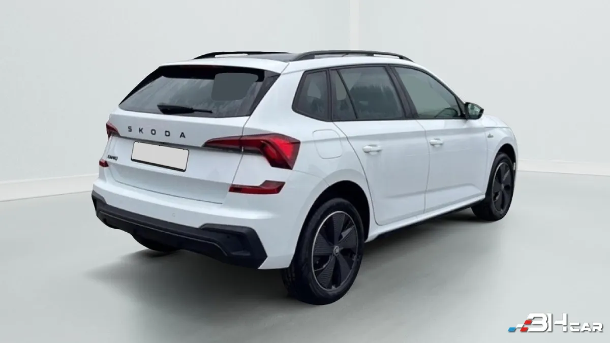 Skoda Kamiq - photo 7