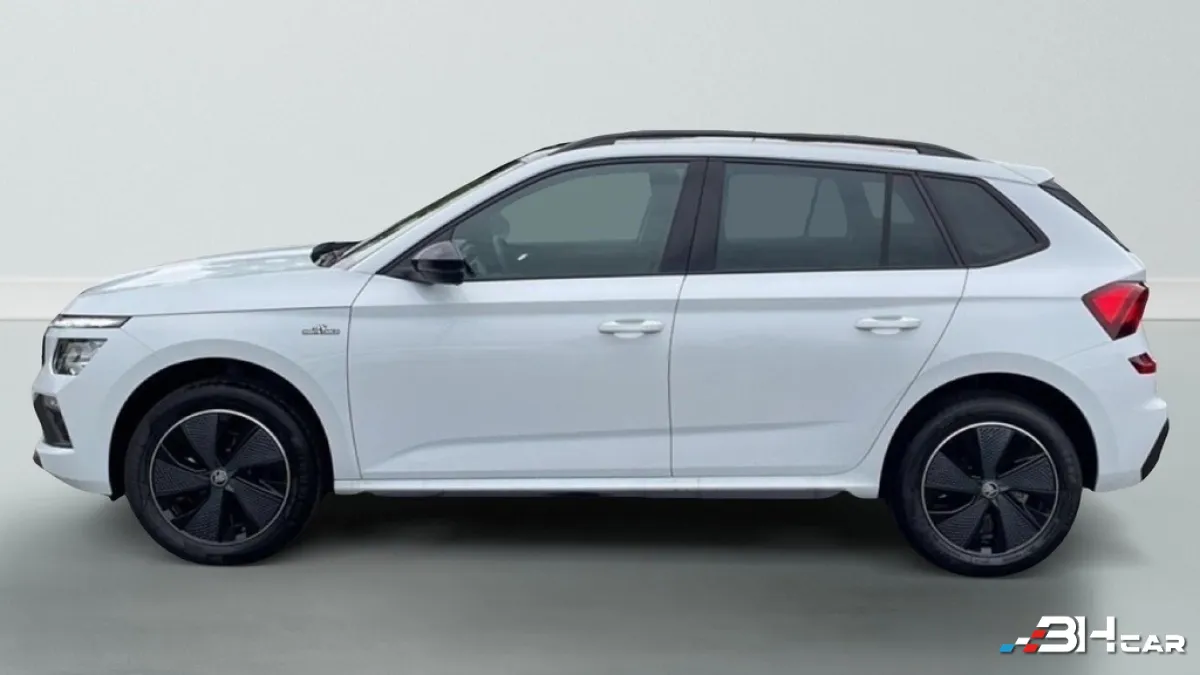 Skoda Kamiq - photo 4