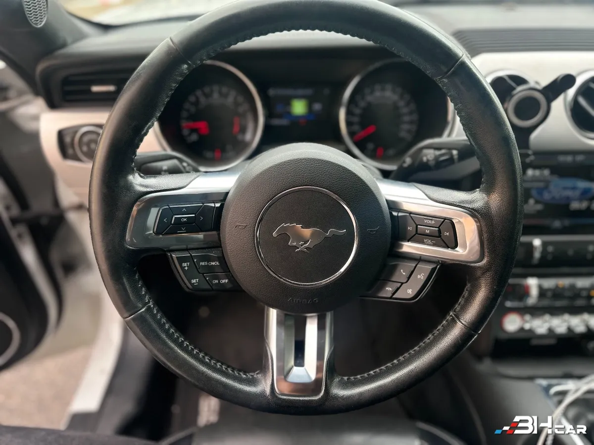 Ford Mustang - photo 18