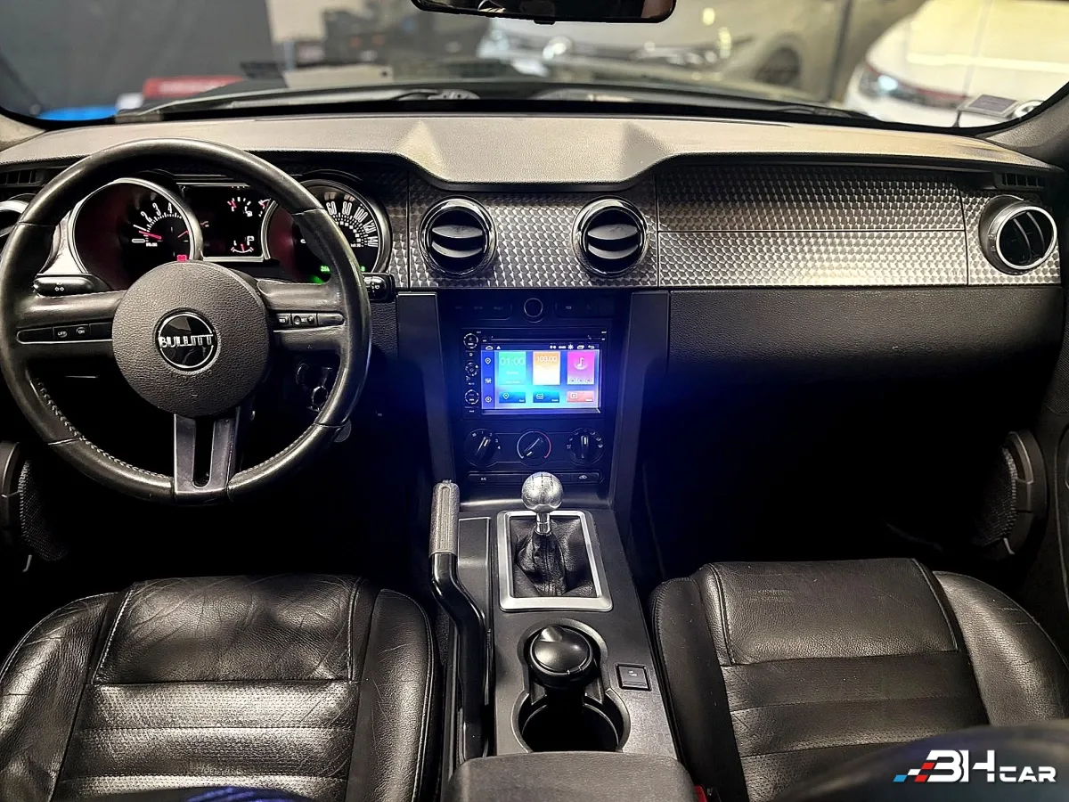 Ford Mustang - photo 15