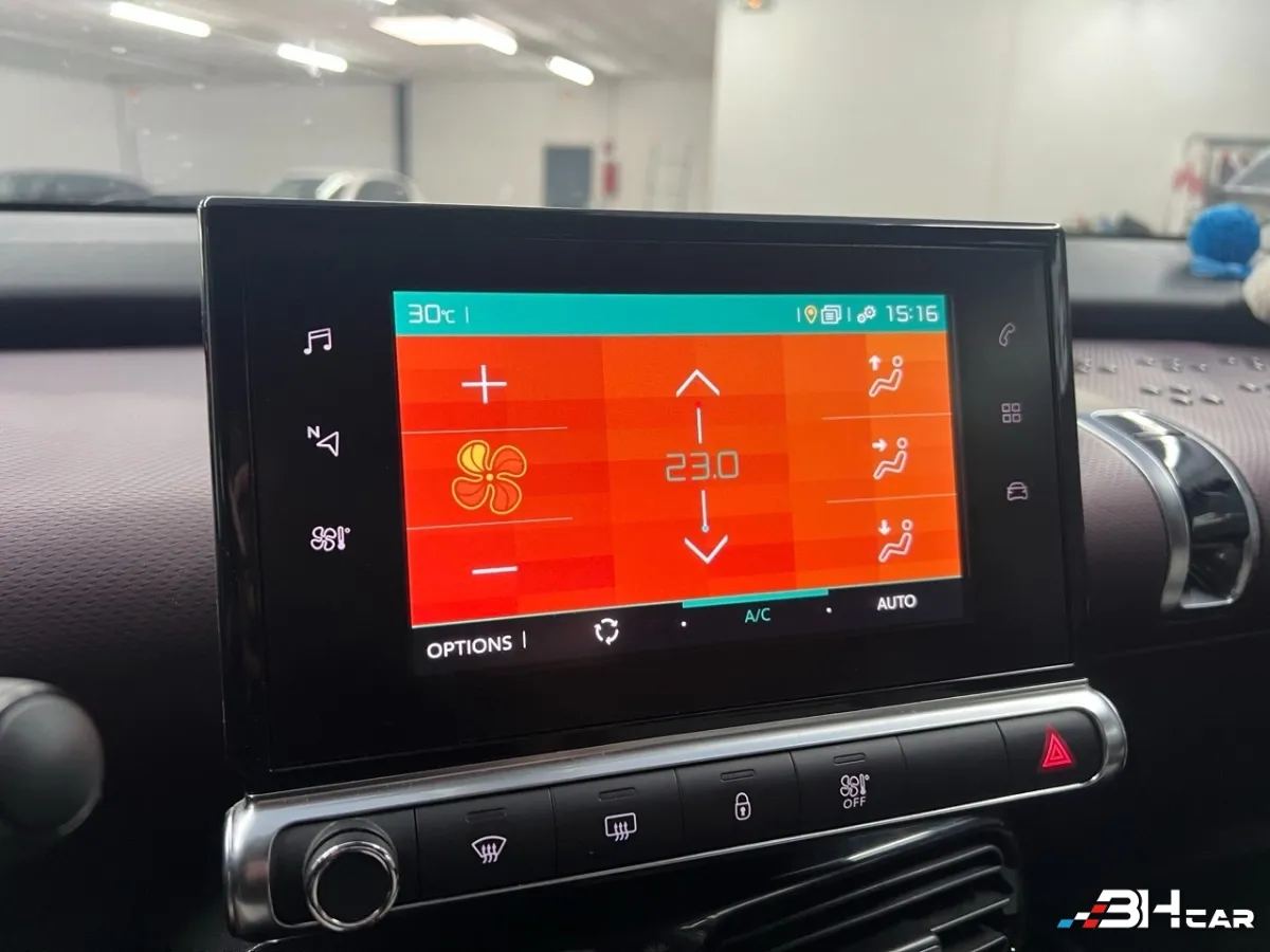 Citroen C4 Cactus - photo 22