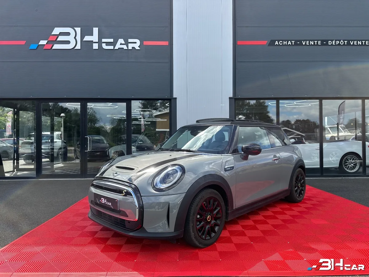 Mini Mini Electric