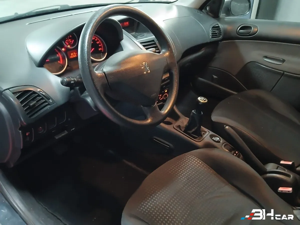 Peugeot 206 Plus - photo 12