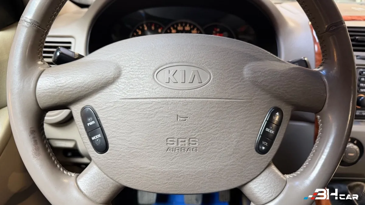 Kia Carnival - photo 26