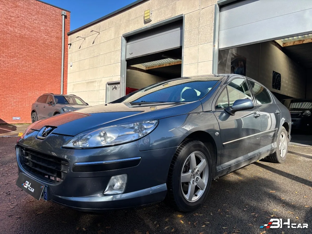 Peugeot 407 - photo 3