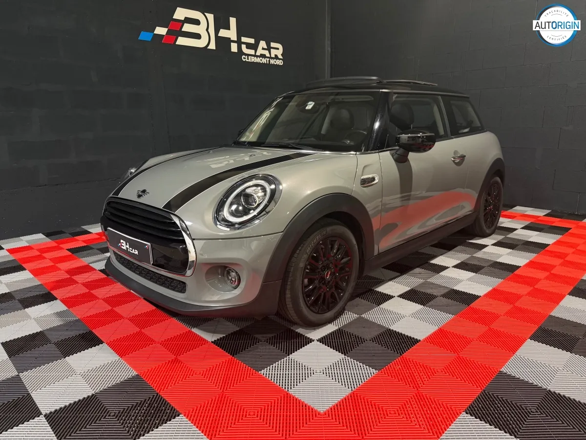 Mini Mini