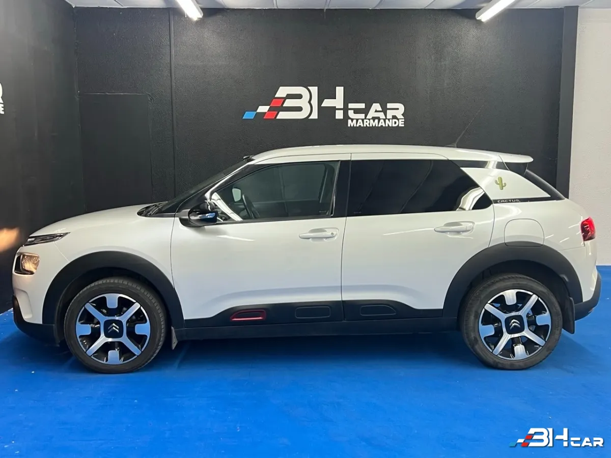 Citroen C4 Cactus - photo 5